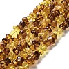 Natural Amber Beads Strands G-L095-L01-04-2