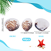 40Pcs Natural Shell for Aquarium Fish Tank Ornaments SHEL-PH0001-69D-4