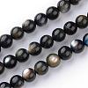 Natural Black Lip Shell Bead Strands SSHEL-S252-06-1