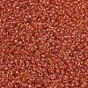 MIYUKI Round Rocailles Beads LS-X-SEED-G007-RR0235-2