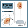 2 Bags 2 Styles Silicone Ear Shaped Earring Display Stands EDIS-OC0001-09A-2