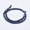 Natural Lapis Lazuli Beads Strands G-E444-24-2