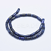 Natural Lapis Lazuli Beads Strands G-E444-24-2