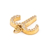 316 Stainless Steel Micro Pave Cubic Zirconia Pendants LS-STAS-K284-01A-G-2