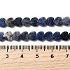 Natural Sodalite Beads Strands G-A272-A01-31-6