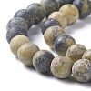 Natural Yellow Turquoise(Jasper) Beads Strands G-H245-02B-3