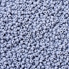 MIYUKI Round Rocailles Beads LS-X-SEED-G007-RR0498-3