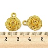 Alloy Pendants FIND-G065-14G-3