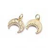 Brass Micro Pave Cubic Zirconia Pendants ZIRC-G163-13G-2