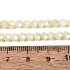 Anti-Tarnish Electroplate Bicone Glass Beads Strands EGLA-T021-4mm-16-14-2