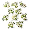 10Pcs Fruit PET Self-Adhesive Stickers DIY-K074-08E-2