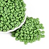 Opaque Colours Glass Seed Beads SEED-Q042-01A-D03-1