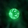 Glow in the Dark Luminous Glass Globle Pendants LUMI-PW0004-007B-1