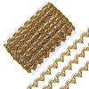 10 Yards Polyester Braided Metallic Lace Trim DIY-WH0491-47B-1