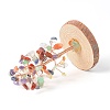 Natural Gemstone Chips with Brass Wrapped Wire Money Tree on Wood Base Display Decorations DJEW-B007-05A-2