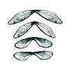 3Pcs Transparent Epoxy Resin Butterfly Wings Cabochons RESI-N045-09-1