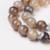 Natural Dyed Agate Beads Necklaces NJEW-F139-10mm-15-3