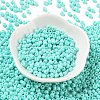 Baking Paint Glass Seed Beads SEED-H002-I-A525-2