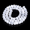 Dyed Natural Selenite Beads Strands G-T138-234A-2