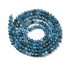 Natural Apatite Beads Strands G-K366-C07-2mm-3