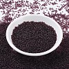 MIYUKI Round Rocailles Beads SEED-G007-RR0153-2
