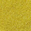 MIYUKI Round Rocailles Beads X-SEED-G007-RR0252-3