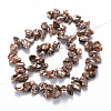 Natural Keshi Pearl Beads Strands PEAR-S021-178C-06-2