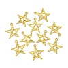 Tibetan Style Alloy Pendants LS-K08TM011-3