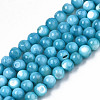 Natural Freshwater Shell Beads Strands SHEL-N003-24-B02-1