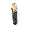Insect Natural Labradorite Pointed Pendants G-I333-02D-1