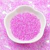 Transparent Colours Glass Seed Beads SEED-H003-01M-2