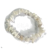 Natural White Jade Stretch Bracelets PW-WG56138-38-1