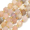 Natural Cherry Blossom Agate  Beads Strands G-I376-D37-01-1