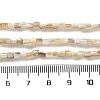 Natural Freshwater Shell Beads Strands SSHEL-B002-17-4