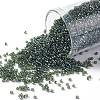 TOHO Round Seed Beads SEED-JPTR15-0119-1