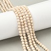 Natural Fossil Beads Strands G-K209-05D-4mm-1