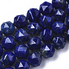 Natural Lapis Lazuli Beads Strands G-N327-03B-05-1