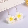 Flower Resin Dangle Earrings FS-WG2DDFE-06-1