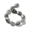 Natural Labradorite Beads Strands G-P528-L03-01-3