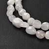 Natural White Jade Beads Strands G-P497-01E-25-4