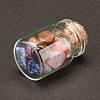 Transparent Glass Wishing Bottle Decoration DJEW-A001-01C-16-3