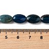 Natural Apatite Beads Strands G-Q026-A01-01-5