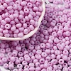 Baking Paint Glass Seed Beads SEED-C003-02C-1