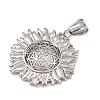 304 Stainless Steel Pendants LS-STAS-K316-02P-2