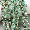 Natural Chrysoprase Beads Strands G-G0004-D01-A-01-5