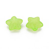 Transparent Acrylic Beads MACR-S373-26E-05-7