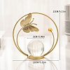 European Style Home Decoration TV Cabinet Creative Decoration Living Room Entrance Light Luxury Desktop Iron Art Crystal Ball Decoration PW-WG6340E-01-1