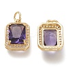Brass Glass Charms ZIRC-F116-09B-G-2