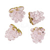 4Pcs Handmade Lampwork Beads LAMP-TA0002-24B-3