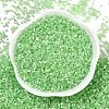 Imitation Cat Eyes Glass Seed Beads X-SEED-H003-03S-3